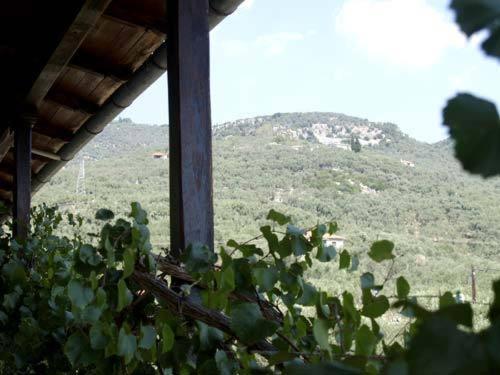 Hotel Figalia Kala Nera Ruang foto